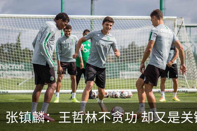 张镇麟：王哲林不贪功 却又是关键时刻能站出来的人 队长当之无愧