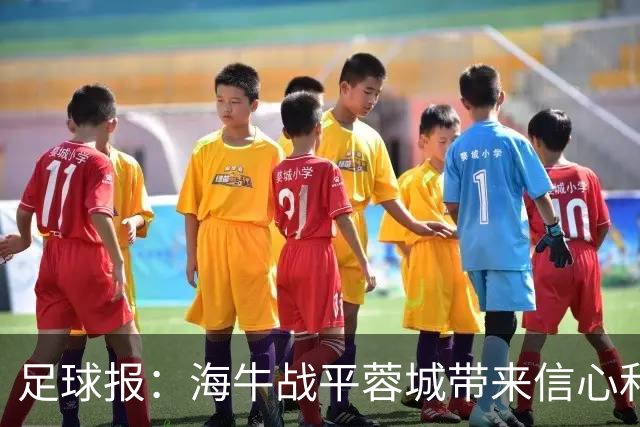 足球报：海牛战平蓉城带来信心和底气，四连败后自救有成效
